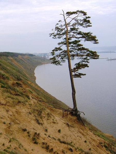 Вид на речной порт Тольятти