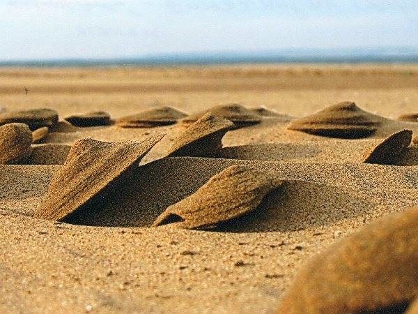 &laquo;Пункт назначения&raquo; – работа занявшая 1 место