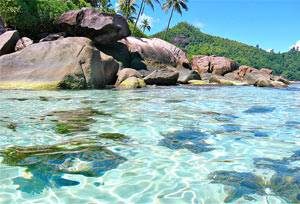 Сейшельские острова – рай для молодоженов